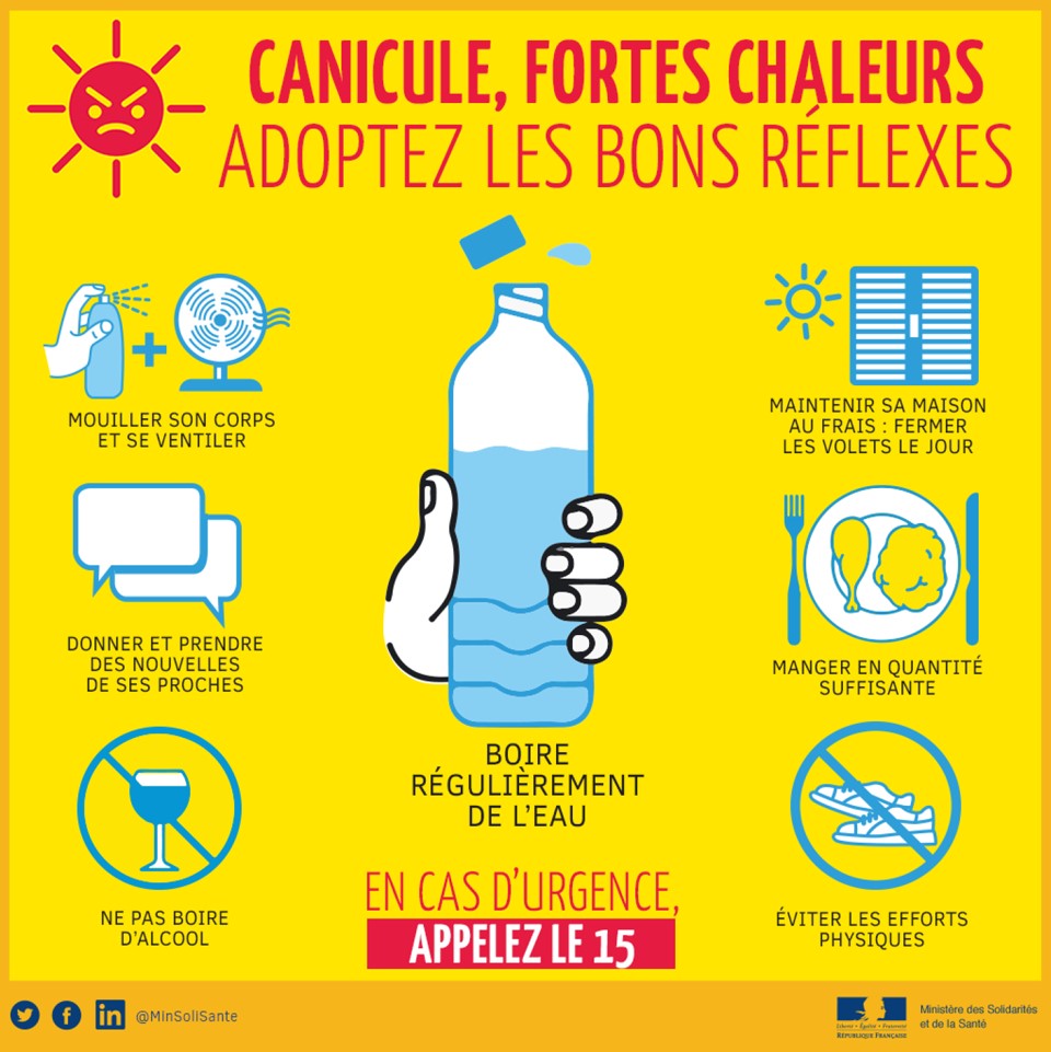 VIGILANCE CANICULE